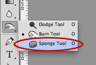 sponge tool