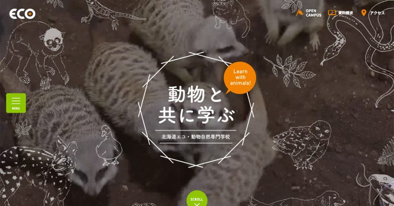 Webデザインギャラリー 北海道エコ 動物自然専門学校 Web Creator Box
