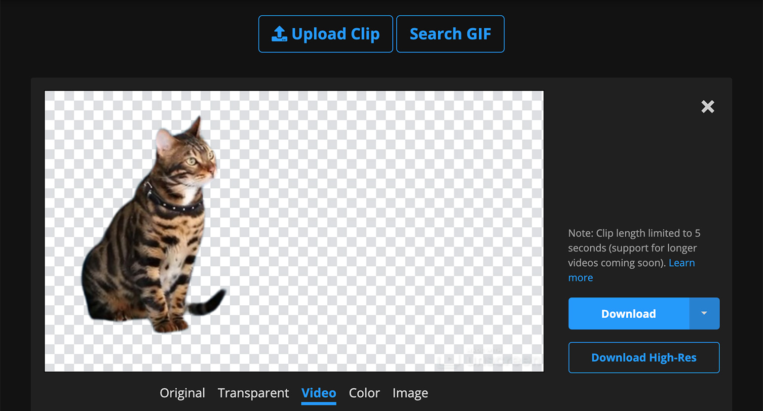 オンラインで手軽に画像や動画の背景を切り抜こう！remove.bgとUnscreen | Webクリエイターボックス
